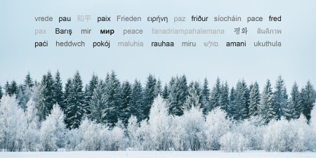 Frohe Weihnachten!