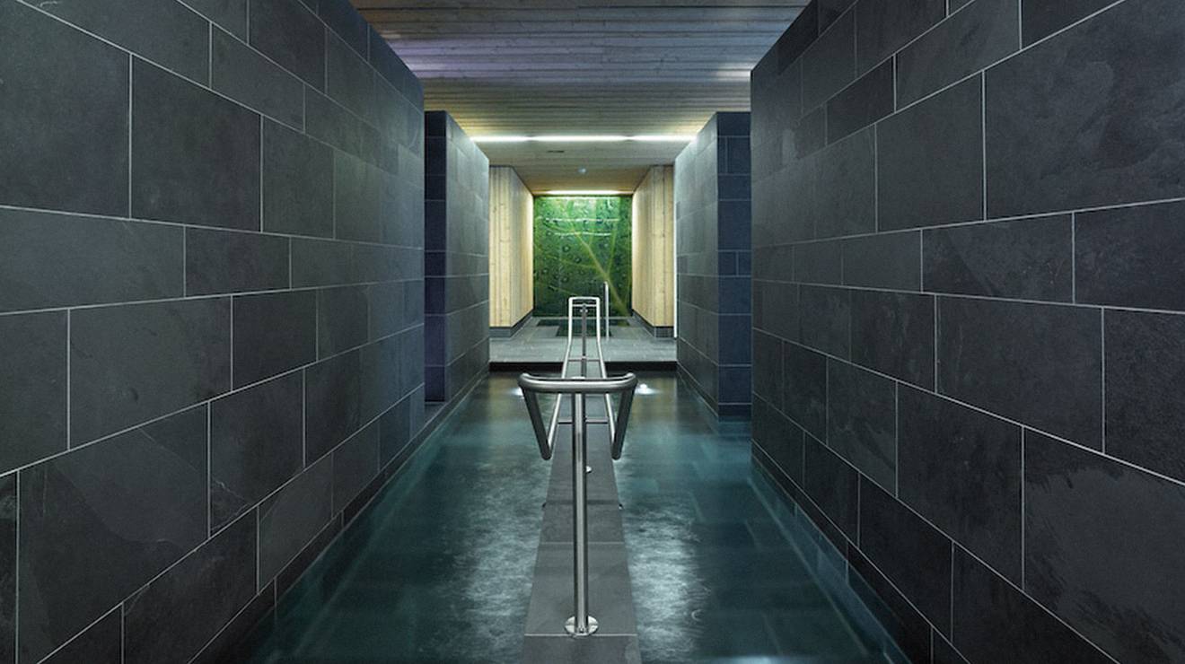 Showroom 04 Wellness
